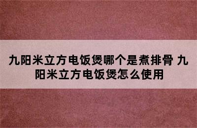 九阳米立方电饭煲哪个是煮排骨 九阳米立方电饭煲怎么使用